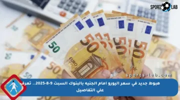هبوط جديد في سعر اليورو أمام الجنيه بالبنوك السبت 9-8-2025.. تعرف على التفاصيل